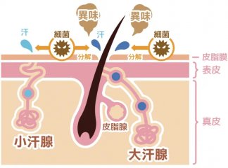 小孩有腋臭怎么除味？南京肤康皮肤病研究所来支招